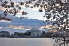 USA, District of Columbia. Jefferson Memorial at Cherry Blossom Time Art Print